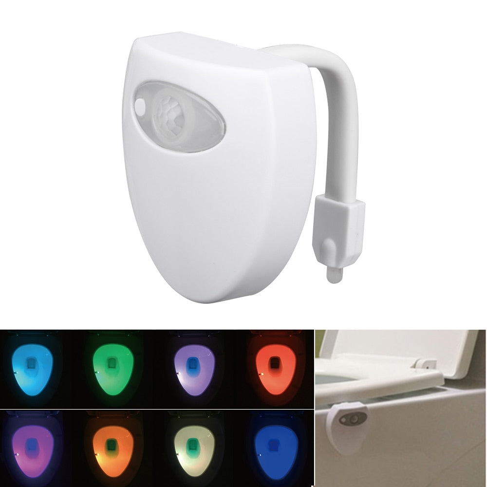 LED toilet nightlight