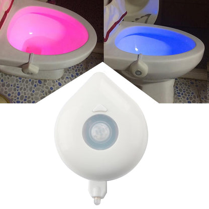 LED toilet nightlight