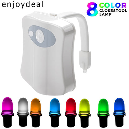 LED toilet nightlight